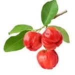 Acerola (400 gr)